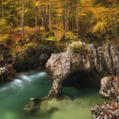 دانلود آهنگ میریام فارس گومی