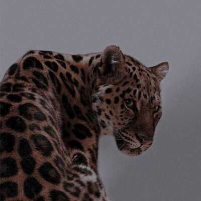 دانلود آهنگ عربی موتن قهر