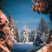 دانلود آهنگ نم نم بارون داره میره آروم آروم آروم