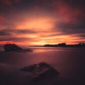 دانلود آهنگ ریشه زده عشق به تار و پودم