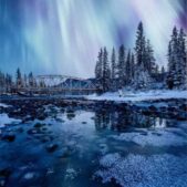 دانلود آهنگ ترس من از تنهایی مردن نیست