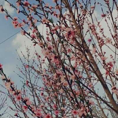 دانلود آهنگ ترکی بای دوگرو