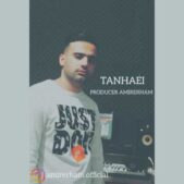 دانلود آهنگ امیر ارهام تنهایی