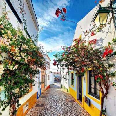 دانلود آهنگ عاو عاو عاو کردی