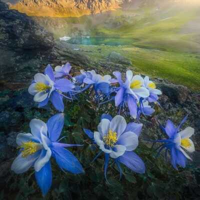 دانلود آهنگ من فراموش کرده بودم همه روزای خوبو اینستا