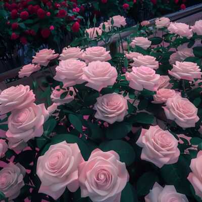 دانلود آهنگ دیشب تو باغ فردوس دعوا بوده سر وای