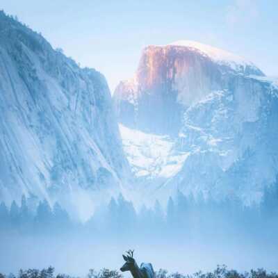 دانلود آهنگ گفتی از تیر خلاص