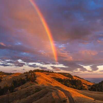 دانلود آهنگ آقای هاشمی کارگر افغانی