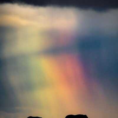 دانلود آهنگ مافیایی راه میریم