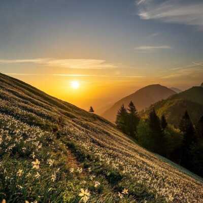 دانلود آهنگ انارت بشکنه آبشو بنوشم دختر عمو