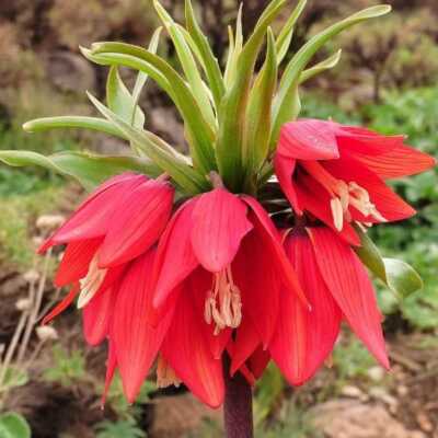 دانلود آهنگ چه زیبا لبخند داری چه نازو ادا