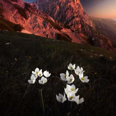 دانلود آهنگ دلم میون سینه یه قفل آهنی داشت