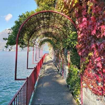 دانلود آهنگ فرامرز کجاست اصلانی رو میگم