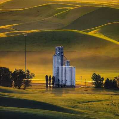 دانلود آهنگ جوگیر شدم یه طور احمقانه