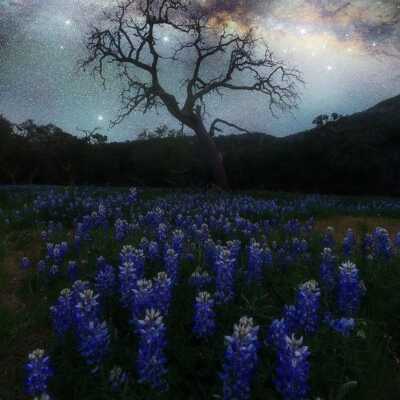 دانلود آهنگ مادر روسریتو سر کن