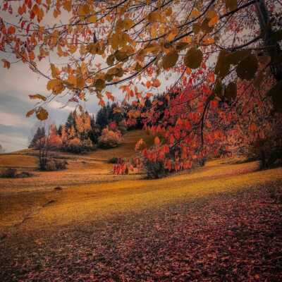 دانلود آهنگ من برای بابام بنز میخرم