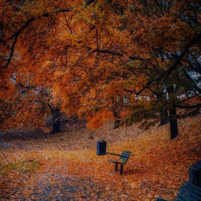 دانلود آهنگ رپ از رپر لال