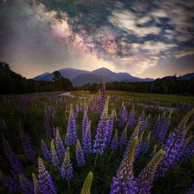 دانلود آهنگ تو چقدر چاقی بس که میخوری منو دیوونه میکنی