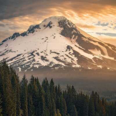 دانلود آهنگ دل نگو بچه بگو بلای جونم شده تمام اجراها