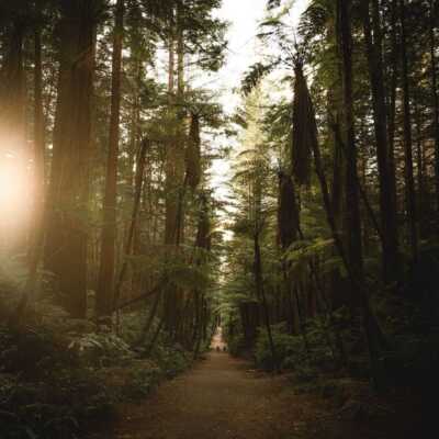 دانلود آهنگ بهم حال میده بغلتو میخرم کل بدنتو