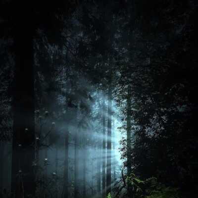 دانلود آهنگ منو گیل مرد زاییده ننم