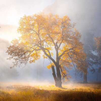 دانلود آهنگ خاله جان خاله جان من نوکر تو