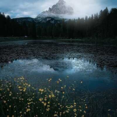 دانلود آهنگ اون واسه تو نیست واسه همست