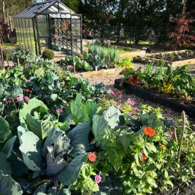 دانلود آهنگ یروز‌ یه قاصدک تو هوا میزد پرسه