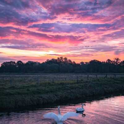 دانلود آهنگ برق شمایم رفت ها داداش قطع مال مام