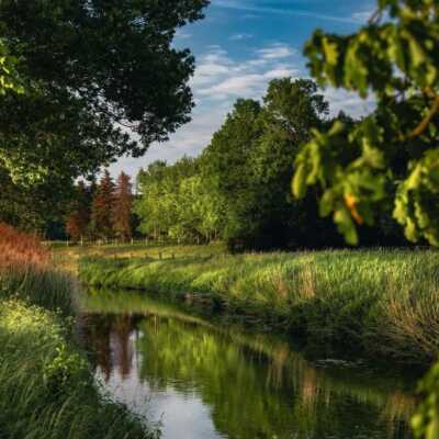 دانلود آهنگ ترکی دیدم دیدم دیدم ترندی بدون حذفیات کامل Mp3