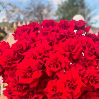 دانلود آهنگ زن بد دری بکن گونی بگه