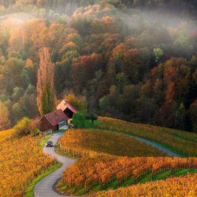 دانلود آهنگ خودت رفتی جهنم سیاه