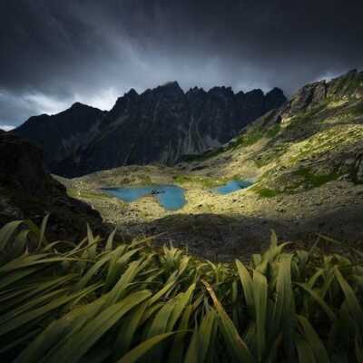 دانلود آهنگ مزه خور بودی تا دیروز واسه ما ساقی شدی