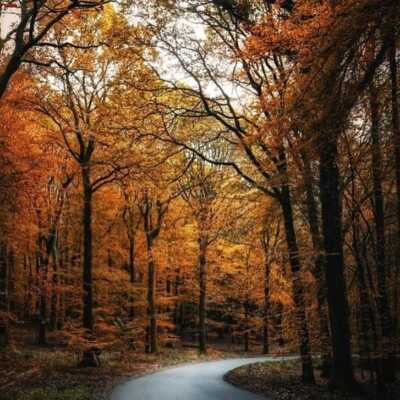 دانلود آهنگ وای که چقدر این دل عاشق بلاس