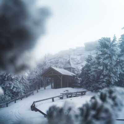 دانلود آهنگ دی دی دی دی ماهی من کوش