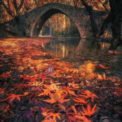 دانلود آهنگ خداحافظ داداش چند ساله من