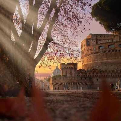 دانلود آهنگ یه مرغ عشق دیوونه که دردمو خوب میدونه