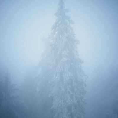 دانلود آهنگ گوشواره گوشت میکنم النگو دستت میکنم