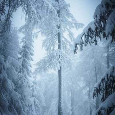 دانلود آهنگ سرما رسیده پاشین برین یواش یواش