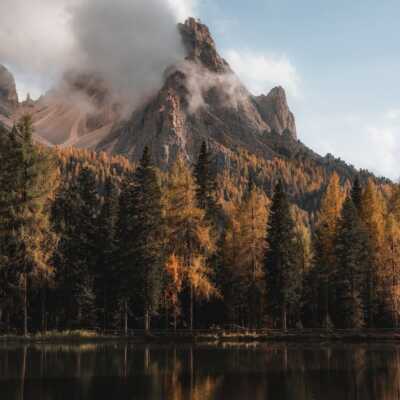 دانلود آهنگ زیدارو بلاک بکنید پولارو خرج نکنید ولنتاین