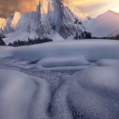 دانلود آهنگ یاهو یاهو یامن هو