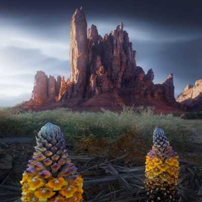 دانلود آهنگ پنجرده پرده من دوشدوم یامان درده من