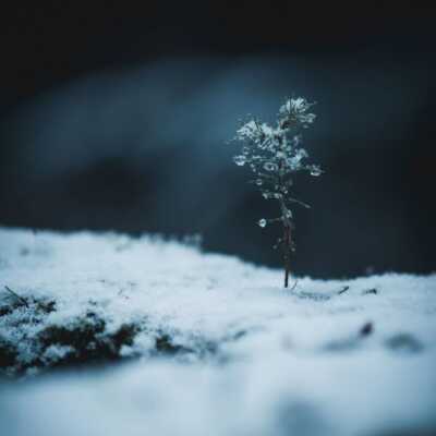 دانلود آهنگ الله دلم میگیره از ظلم زمونه الله مگه آدم چقد تنها میمونه