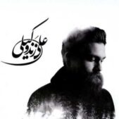 دانلود آهنگ علی زندوکیلی ای ساقی