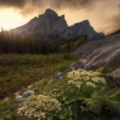 دانلود آهنگ صدرالدین لیلی