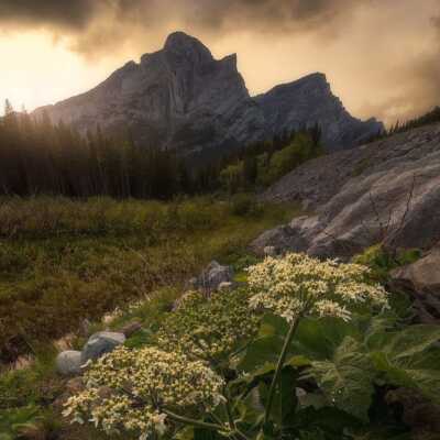 دانلود آهنگ صدرالدین لیلی