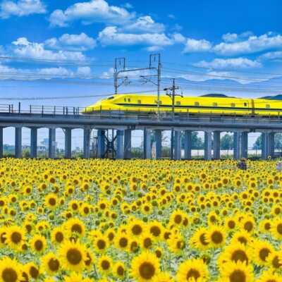 دانلود آهنگ آروم نمیشم با ده جی ماری