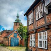 دانلود آهنگ تو رو از بین صدها گل جدا کردم