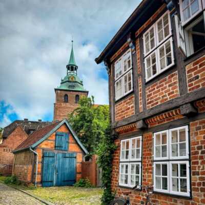 دانلود آهنگ تو رو از بین صدها گل جدا کردم