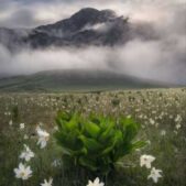 دانلود آهنگ اگه روزگار بی رحمه تو مهربون باش